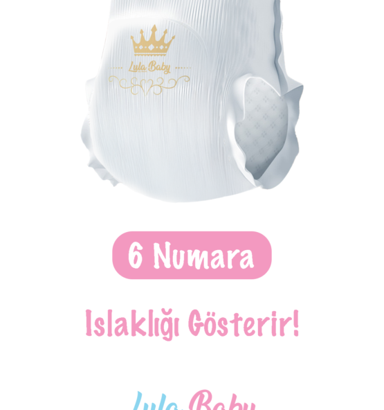 6BEDEN4 555x592